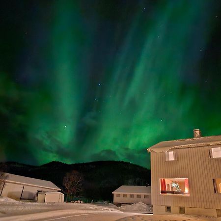 Villa Tonsvik Enebolig Tromsø Exterior foto