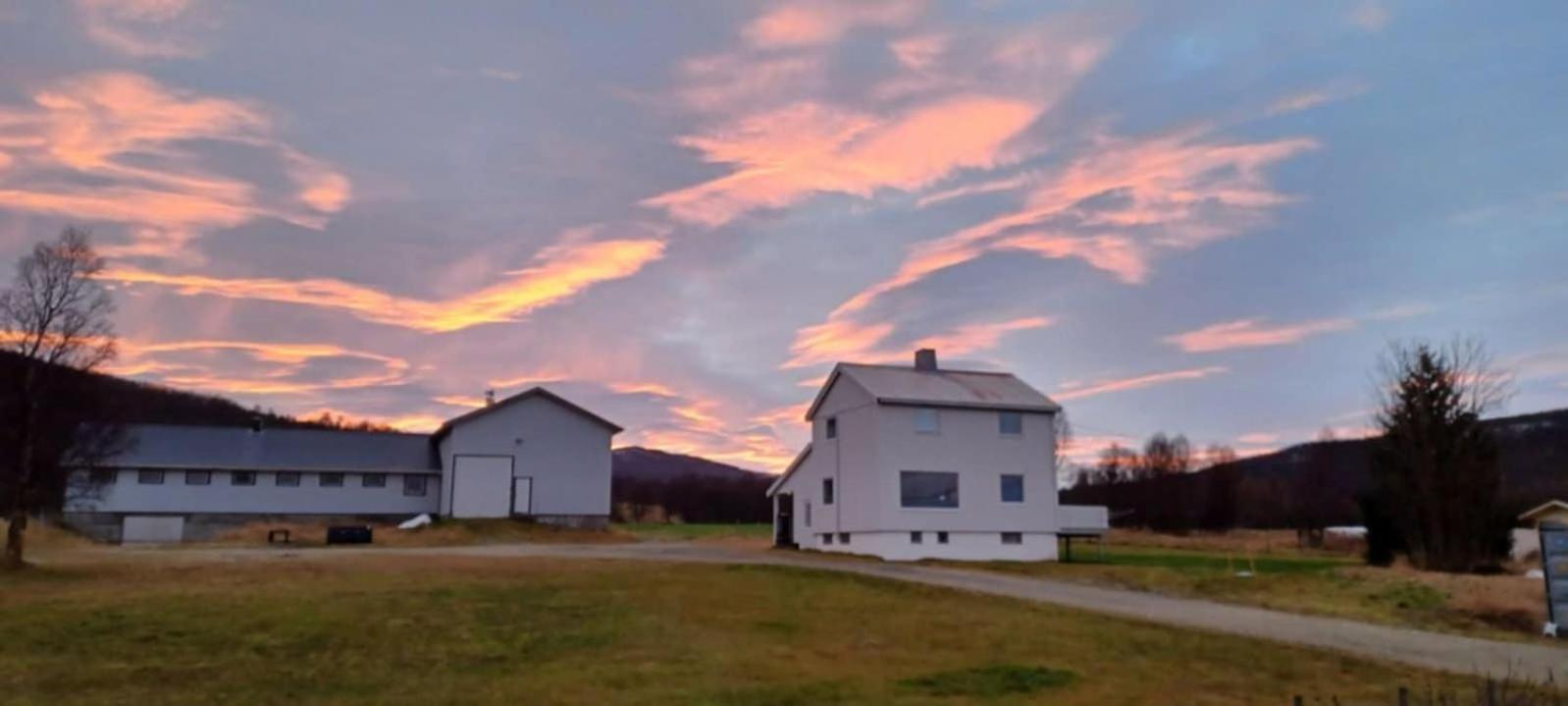 Villa Tonsvik Enebolig Tromsø Exterior foto